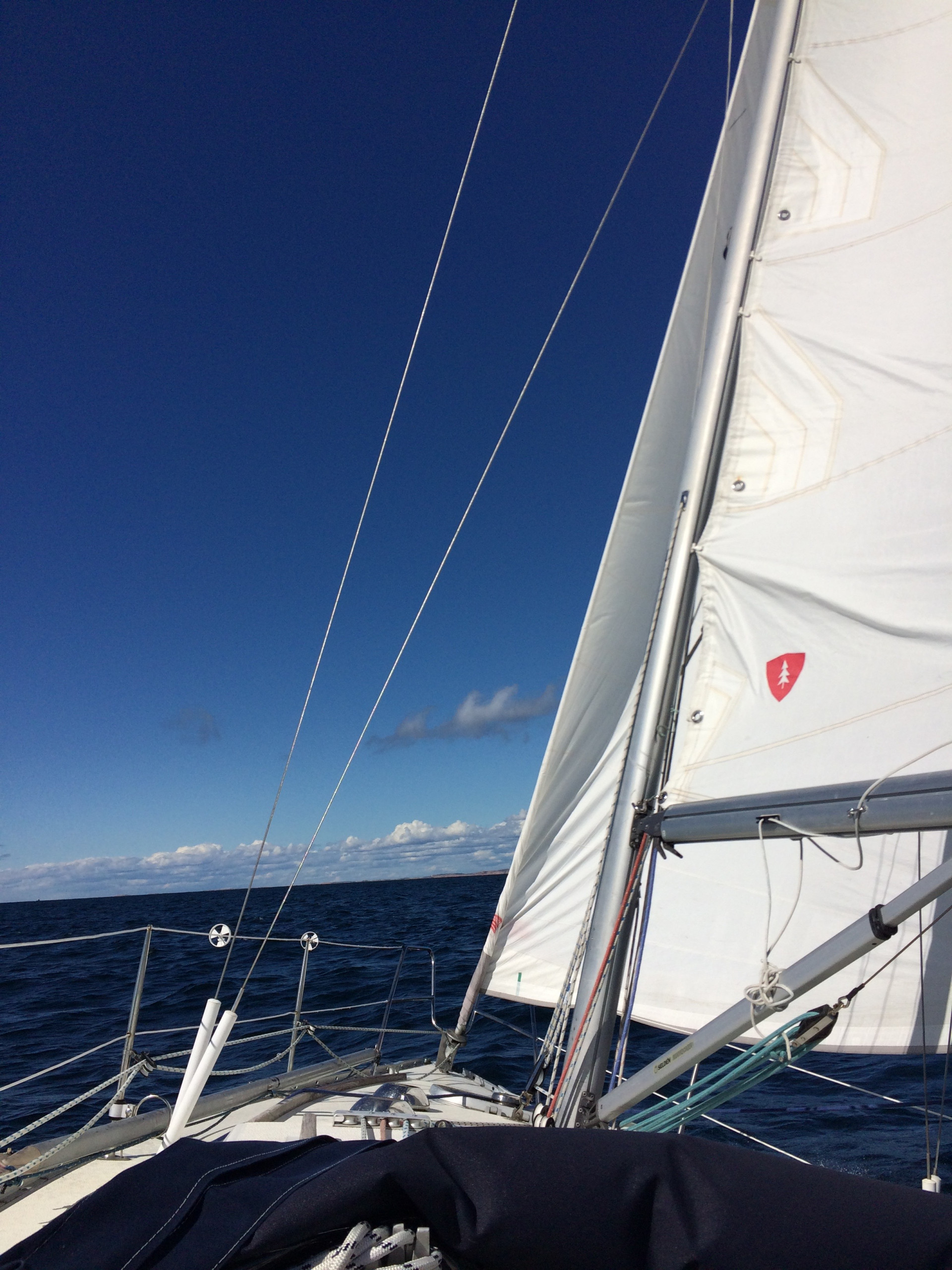 Albin Scampi 30 | Skipperi